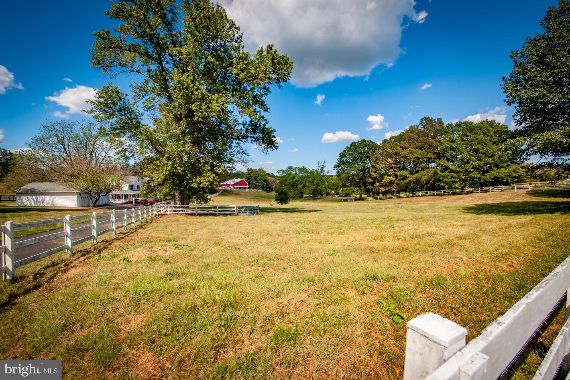 404 Lankford Road Harwood, MD 20776 - Photo 72 of 79 Pasture