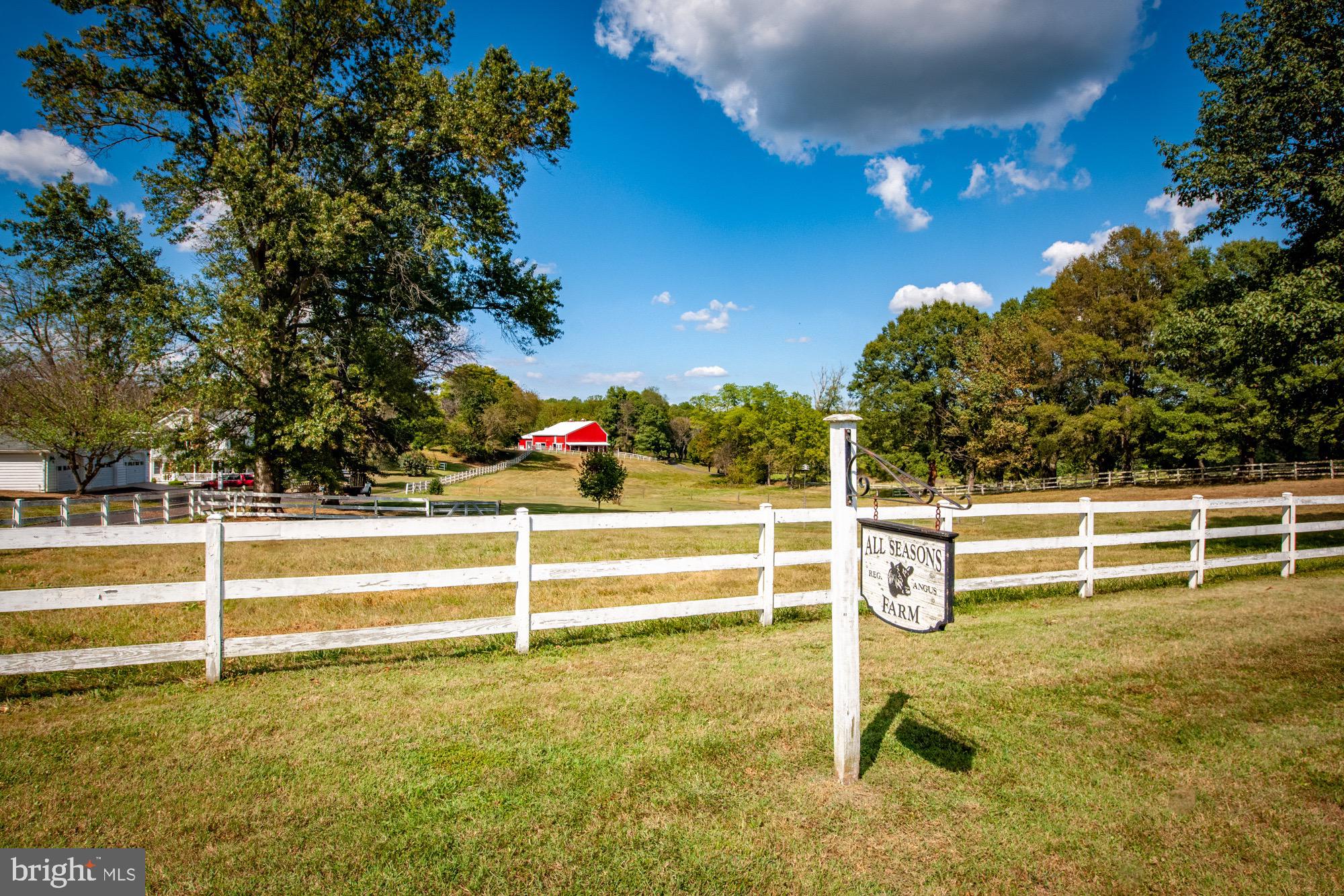 404 Lankford Road Harwood, MD 20776 - Photo 73 of 79 View from Lankford Rd