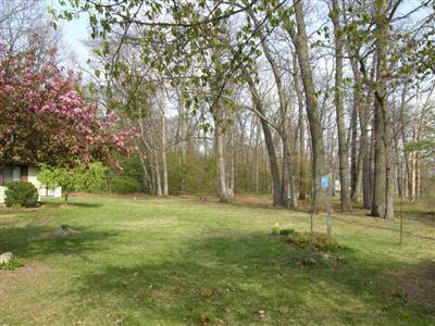 18971 Sharon Road Oakley, MI 48649 - Photo 3 of 15 20205688-2.JPG