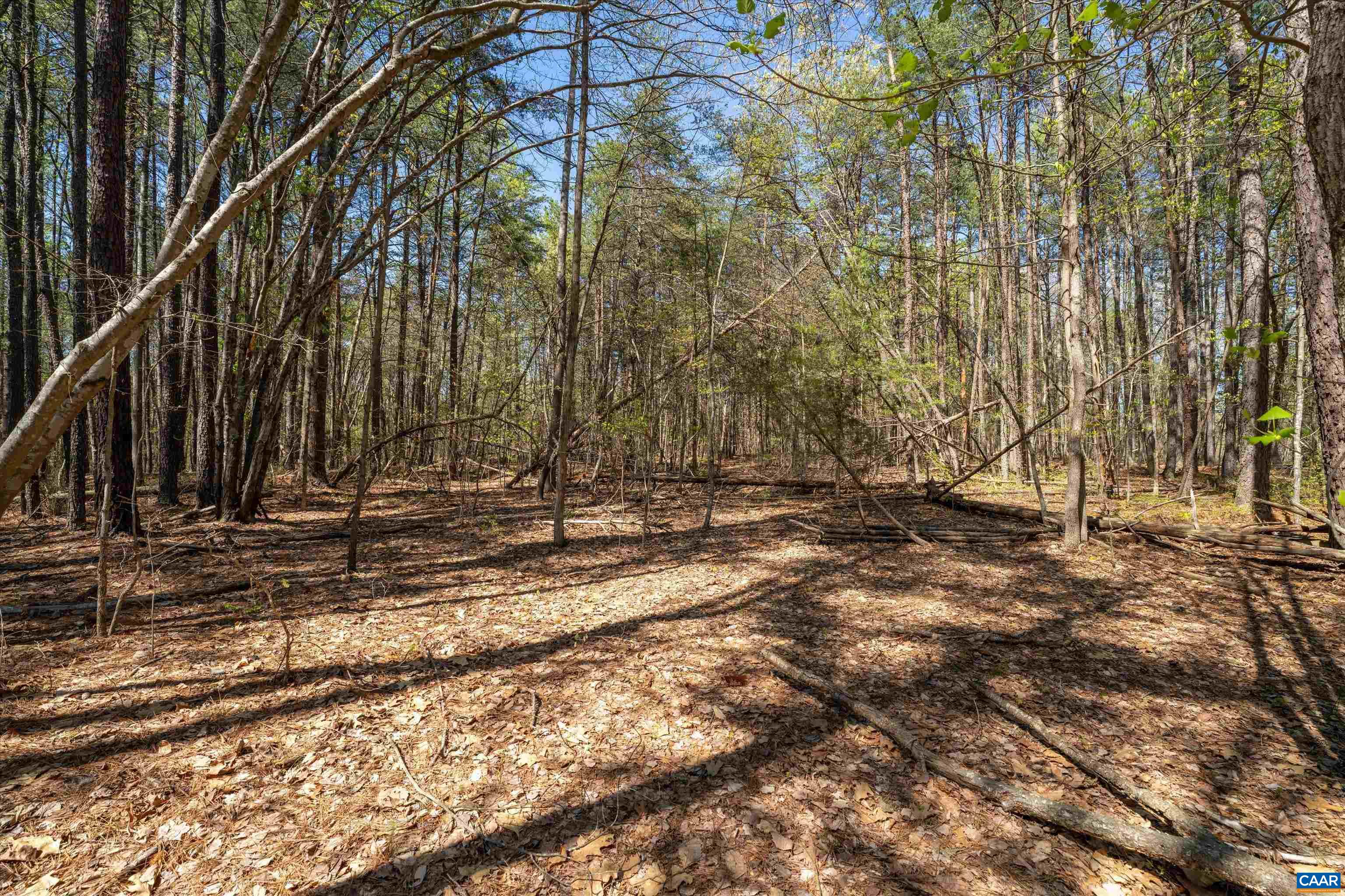 Lot 27 Martin Kings Road Charlottesville, VA 22902 - Photo 32 of 45 a view of house with backyard