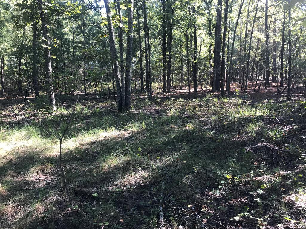 462 Colbert Bridge Road Windsor, SC 29856 - Photo 6 of 18