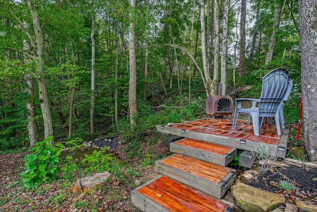 1425 Moodyville Loop Byrdstown, TN 38549 - Photo 45 of 62 a garden view with a seating space