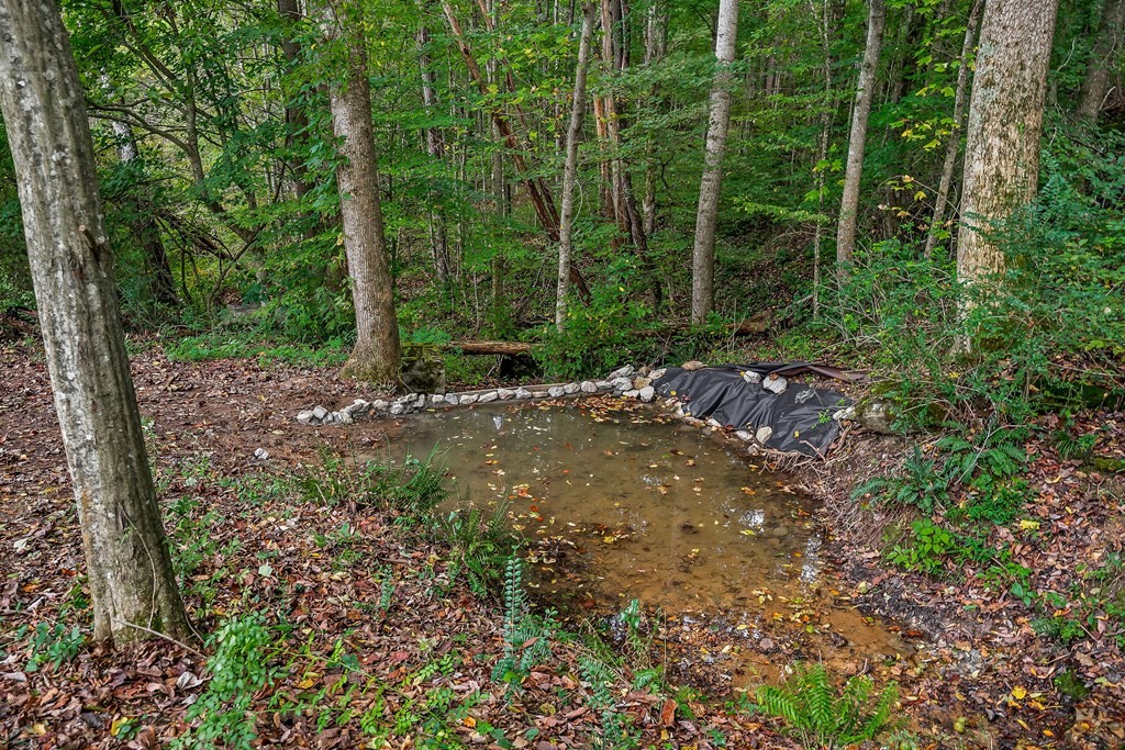 1425 Moodyville Loop Byrdstown, TN 38549 - Photo 46 of 62 a view of outdoor space and yard