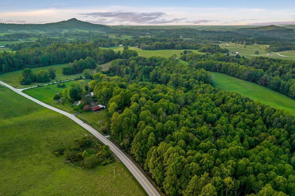 1425 Moodyville Loop Byrdstown, TN 38549 - Photo 56 of 62 a view of a lush green forest with trees in the background