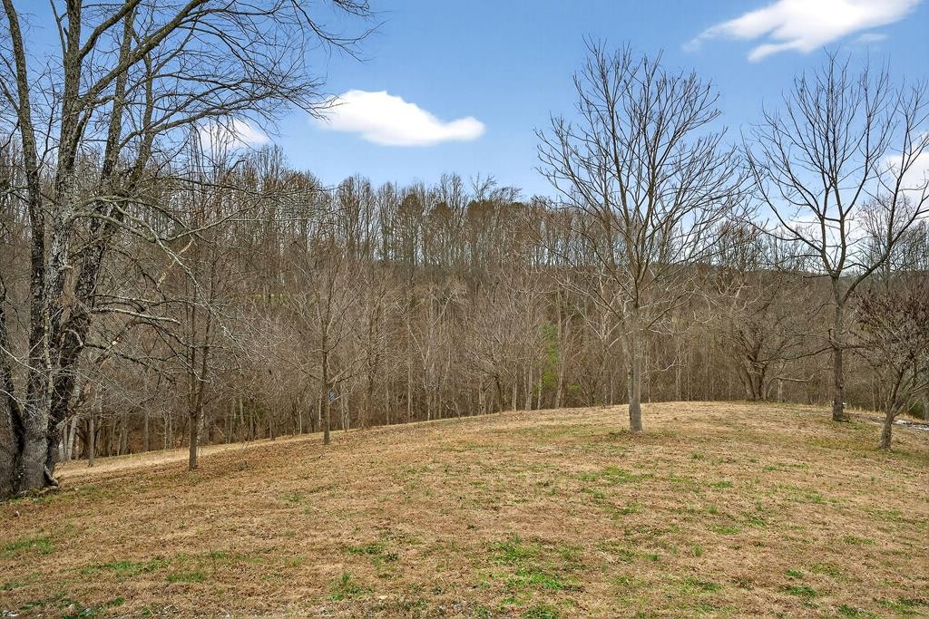 1425 Moodyville Loop Byrdstown, TN 38549 - Photo 62 of 62 a house view with a outdoor space