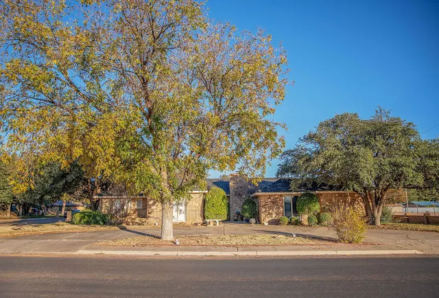 a street view with large trees