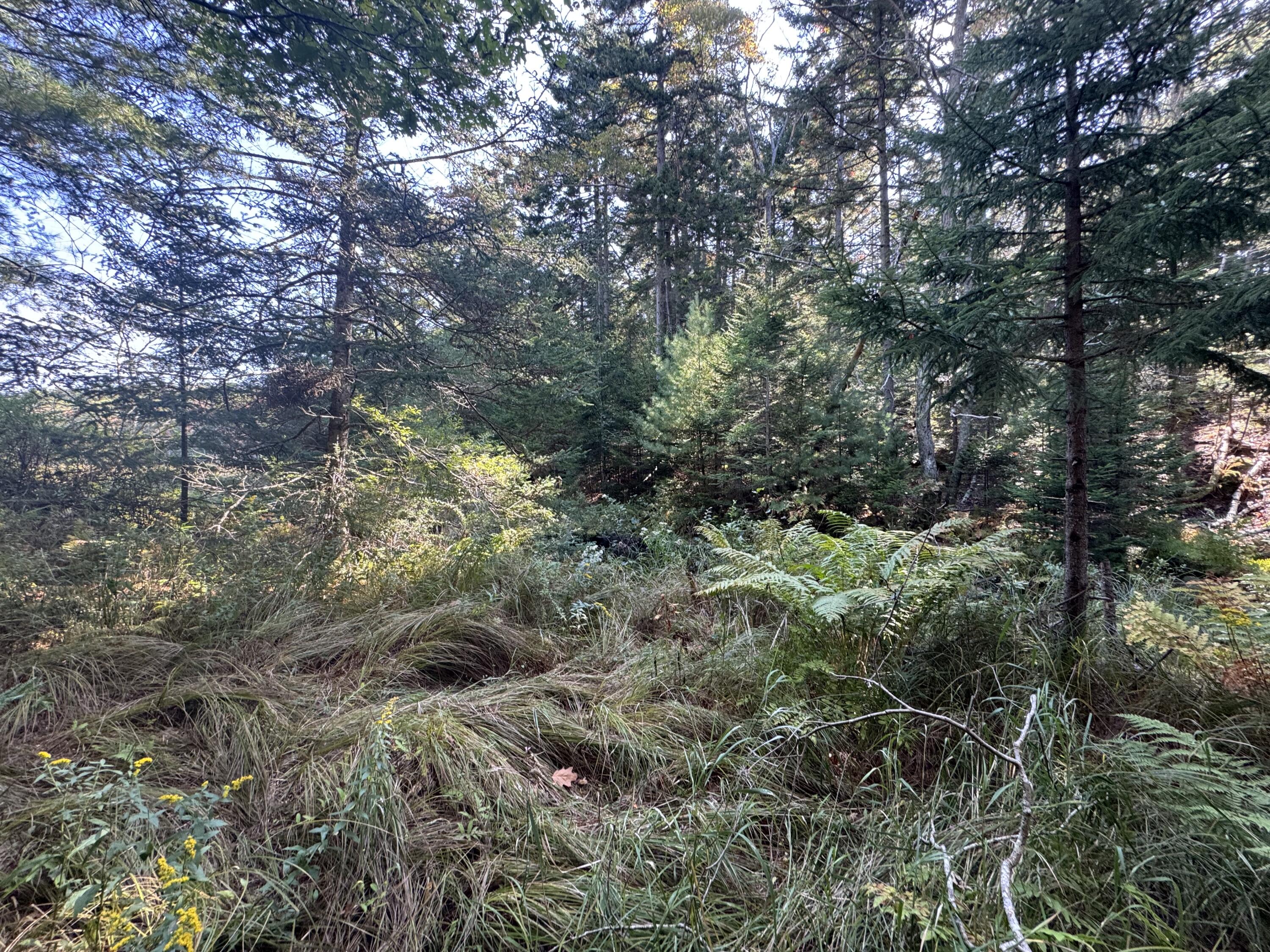 0 Main Road Phippsburg, ME 04562 - Photo 22 of 28 0 Main Road, Phippsburg