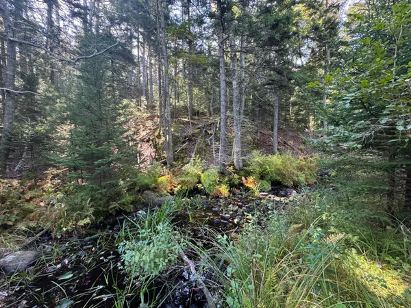 $69,500 | 0 Main Road, Phippsburg, ME 04562