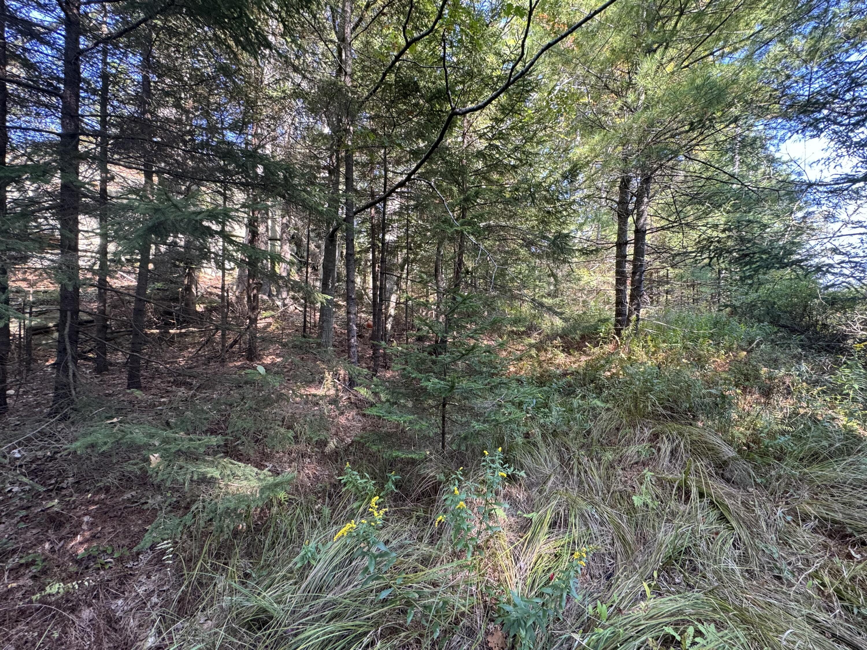 0 Main Road Phippsburg, ME 04562 - Photo 25 of 28 0 Main Road, Phippsburg