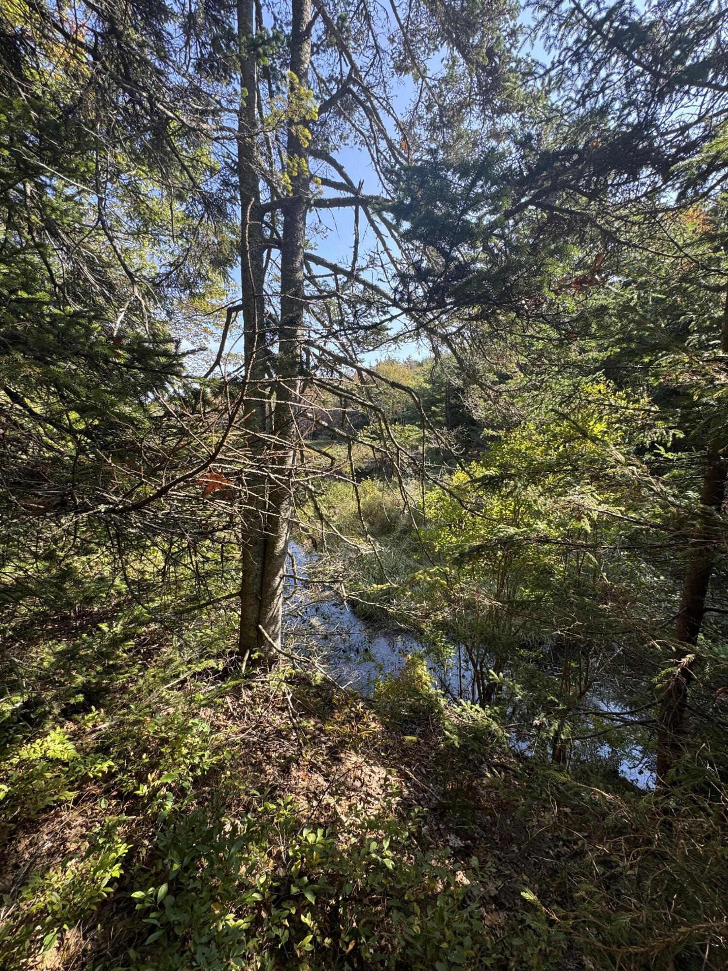 0 Main Road Phippsburg, ME 04562 - Photo 26 of 28 0 Main Road/North Creek