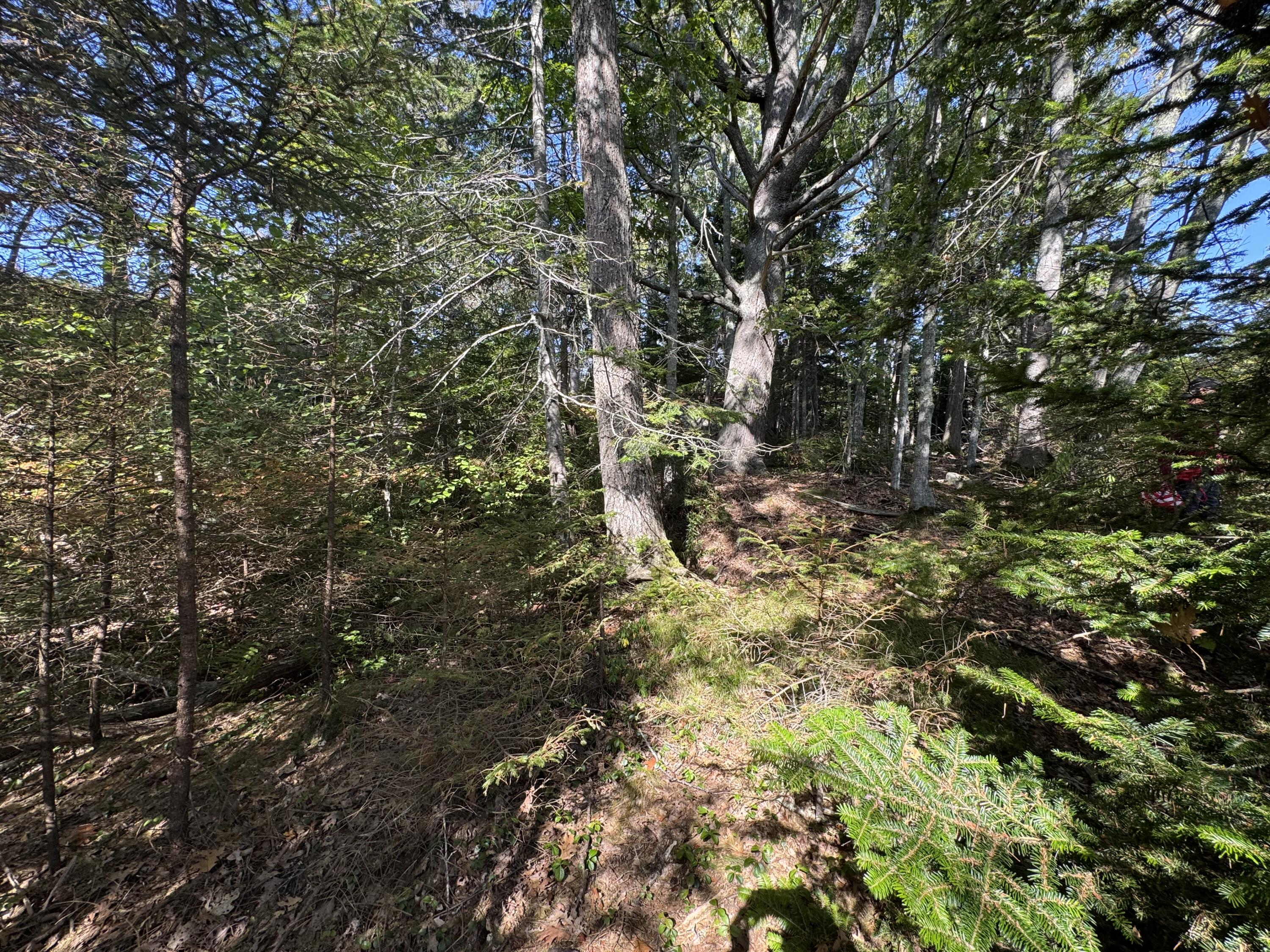 0 Main Road Phippsburg, ME 04562 - Photo 27 of 28 0 Main Road, Phippsburg