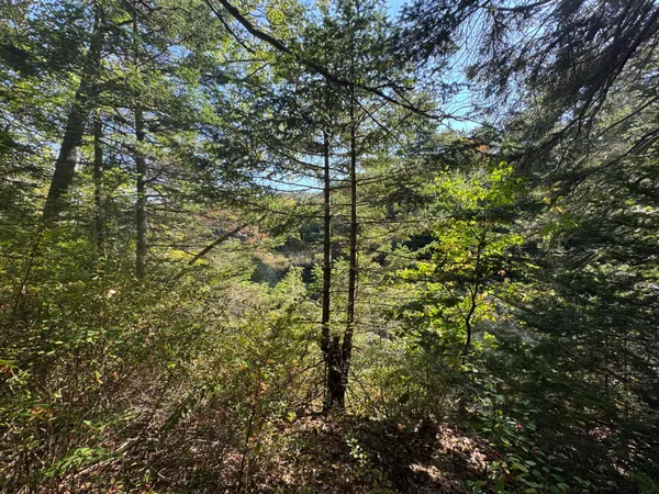 $69,500 | 0 Main Road, Phippsburg, ME 04562