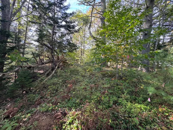 $69,500 | 0 Main Road, Phippsburg, ME 04562