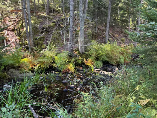 $69,500 | 0 Main Road, Phippsburg, ME 04562