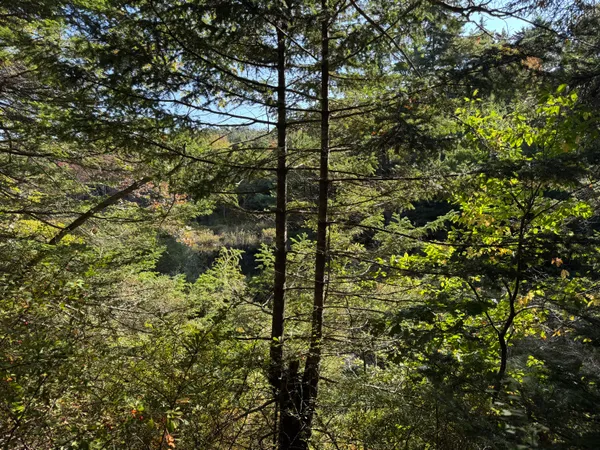 $69,500 | 0 Main Road, Phippsburg, ME 04562