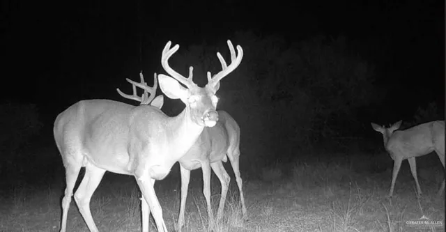 a view of a outdoor space