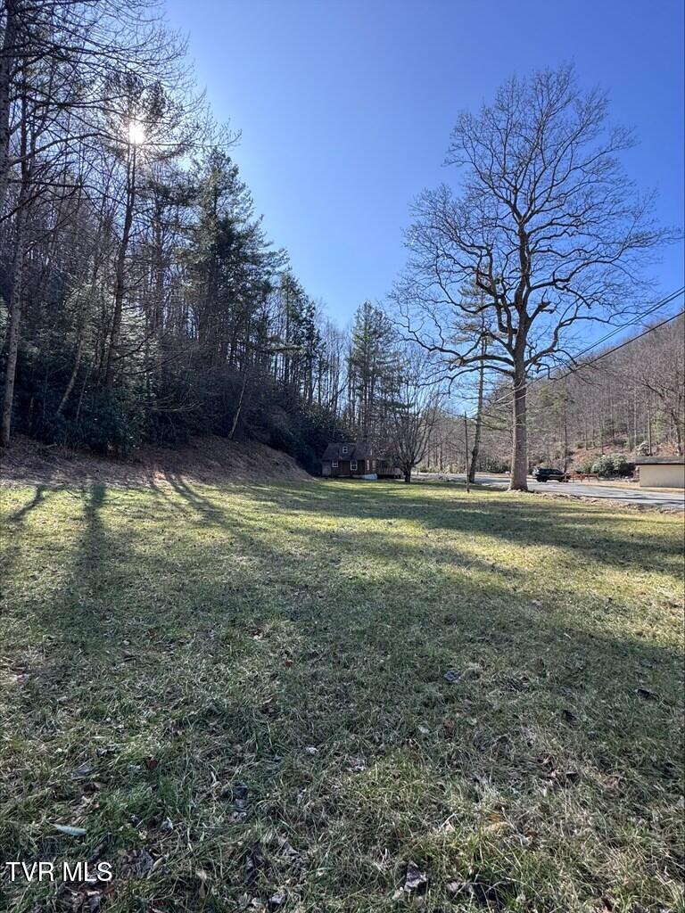 232 Konnarock Road Troutdale, VA 24378 - Photo 8 of 28 7