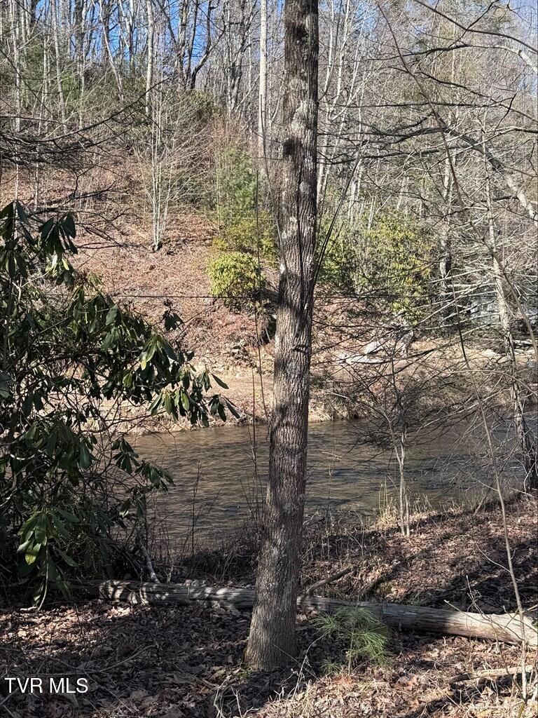 232 Konnarock Road Troutdale, VA 24378 - Photo 9 of 28 8