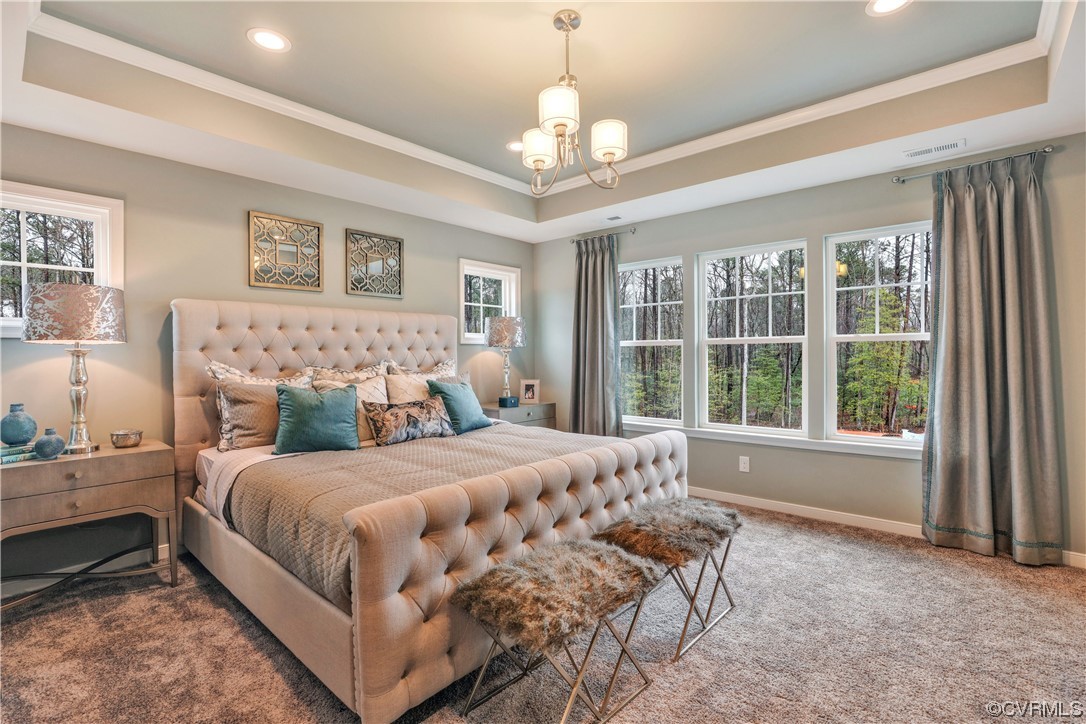 18637 Palisades Ridge Moseley, VA 23120 - Photo 18 of 41 a bedroom with a large bed and a chandelier