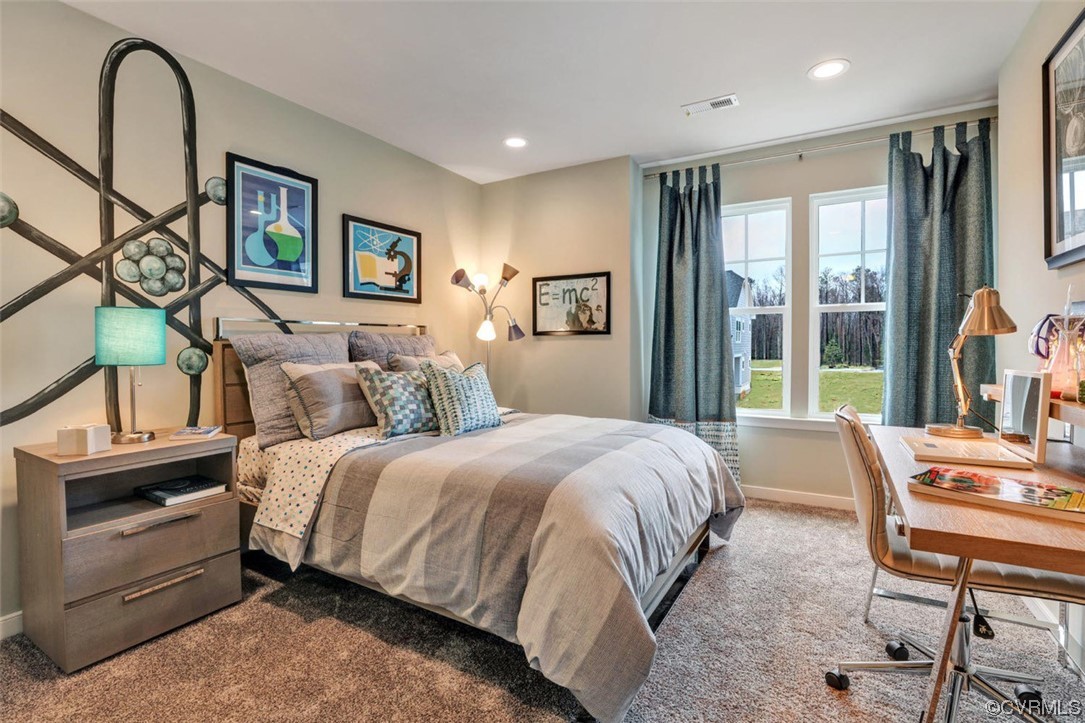 18637 Palisades Ridge Moseley, VA 23120 - Photo 26 of 41 a bedroom with a bed next to a window