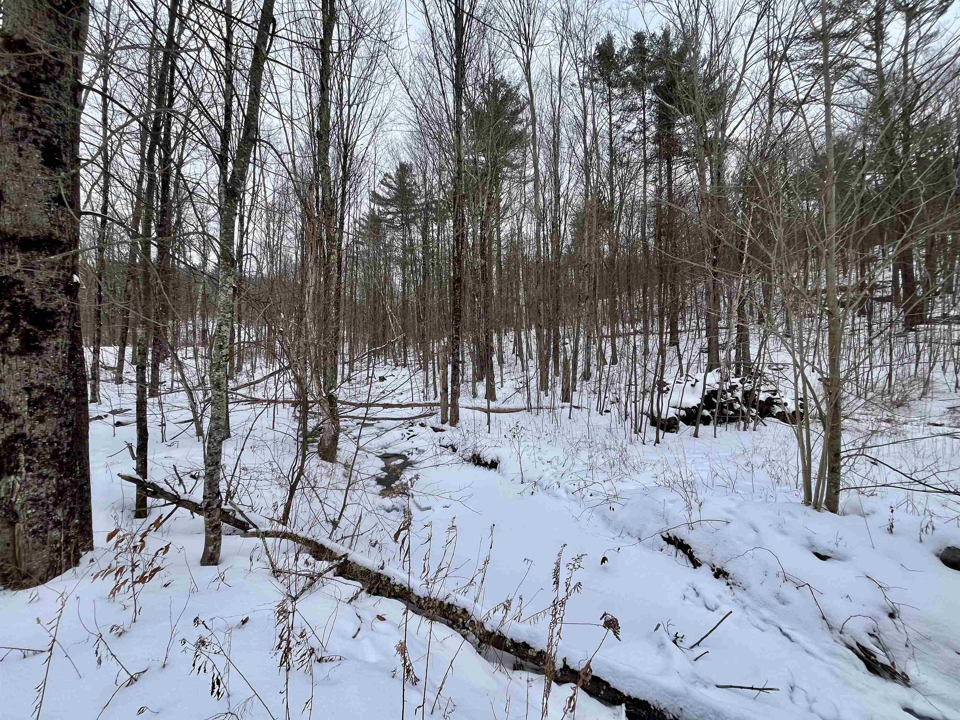 1477 Ballard Farm Road Wells, VT 05774 - Photo 24 of 25