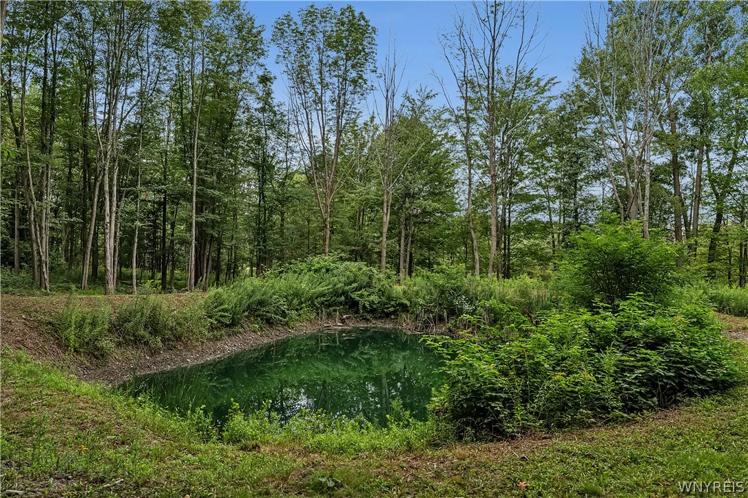 Harlow Road Darien Center, NY 14040 - Photo 11 of 28 Gallery Image 11