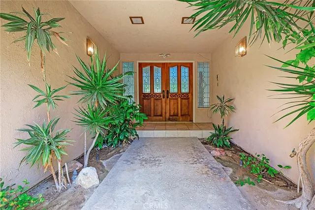 a potted plants in front of yellow house