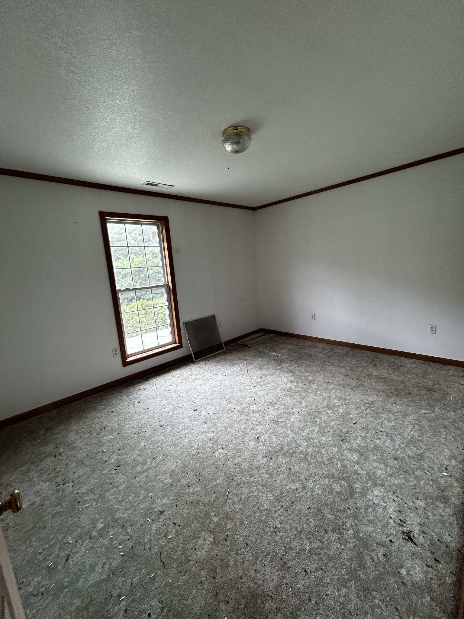 98 Hackett Valley Road Hickman, TN 38567 - Photo 29 of 41