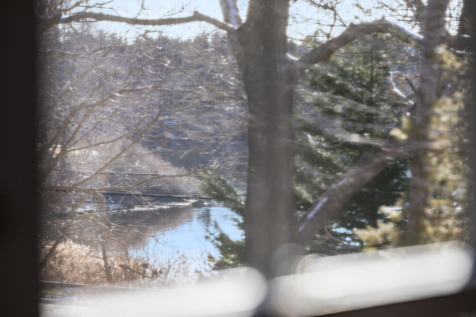 10 Frazar Road Falmouth, MA 02540 - Photo 45 of 56 9L4A1193
