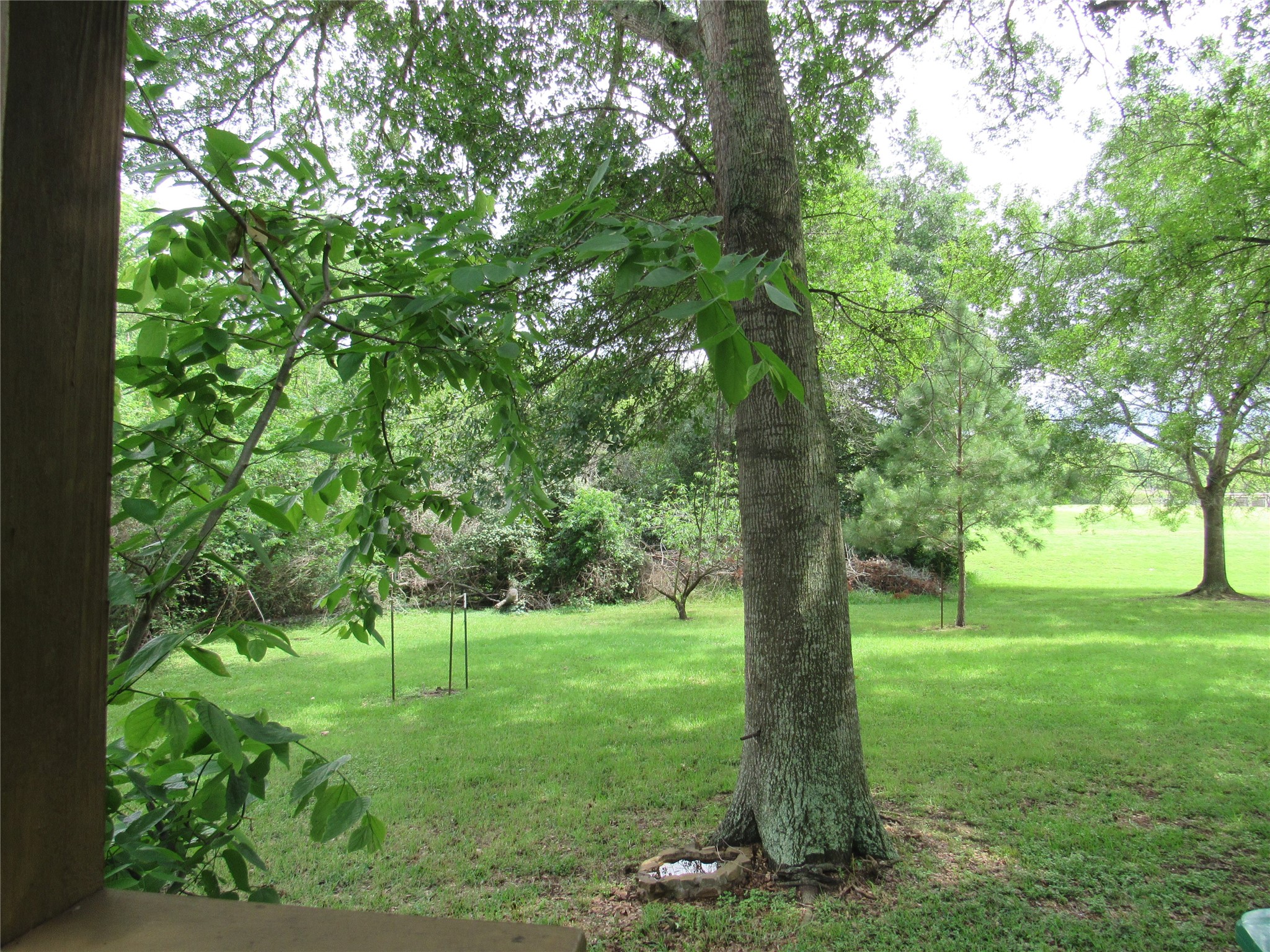 1013 Prairie Lea Street Brenham, TX 77833 - Photo 33 of 36 a view of a trees with a yard