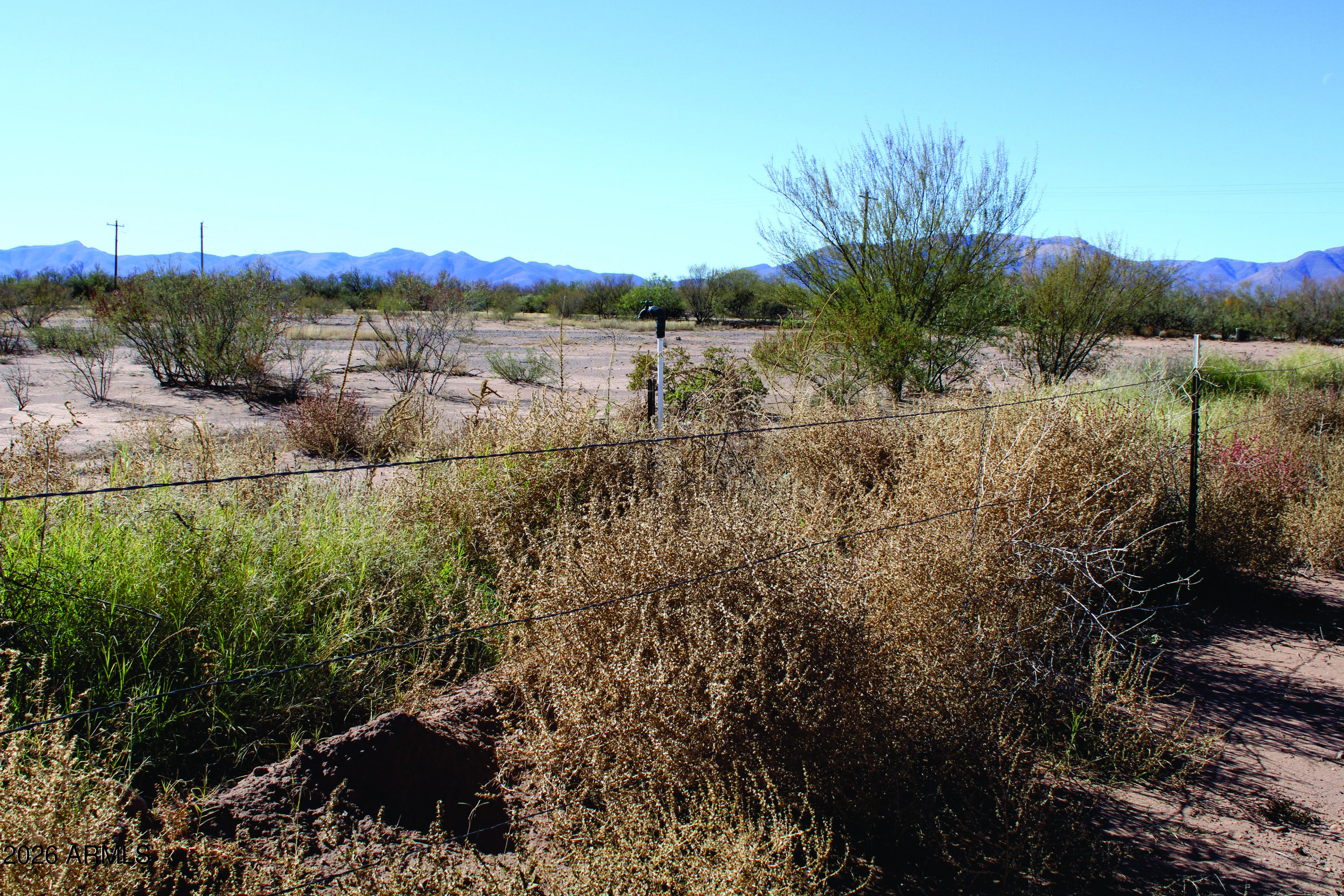 4.49-acres West Duke Road, Unit 2 McNeal, AZ 85617 - Photo 19 of 26 a view of a field of grass and mountain view