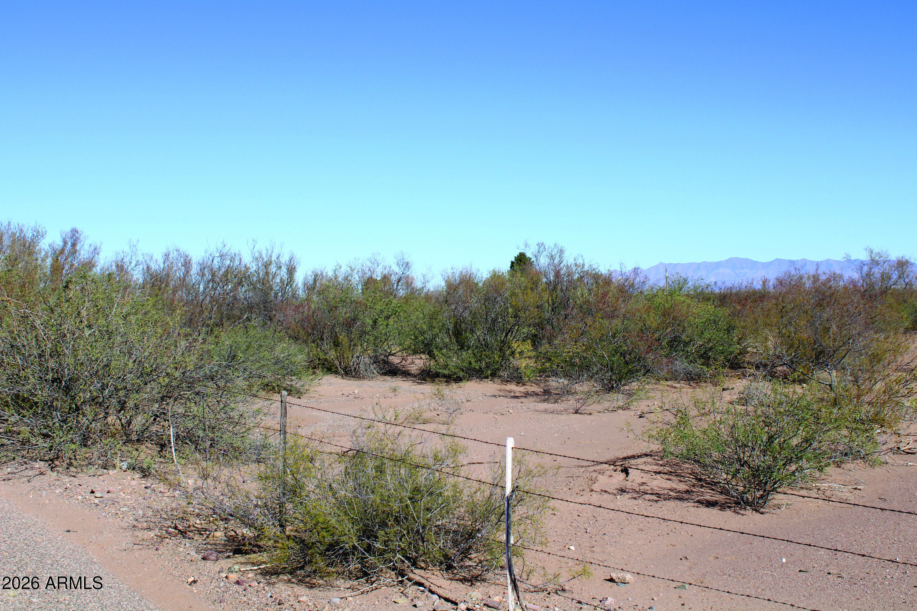 4.49-acres West Duke Road, Unit 2 McNeal, AZ 85617 - Photo 24 of 26 a view of a dry yard with trees