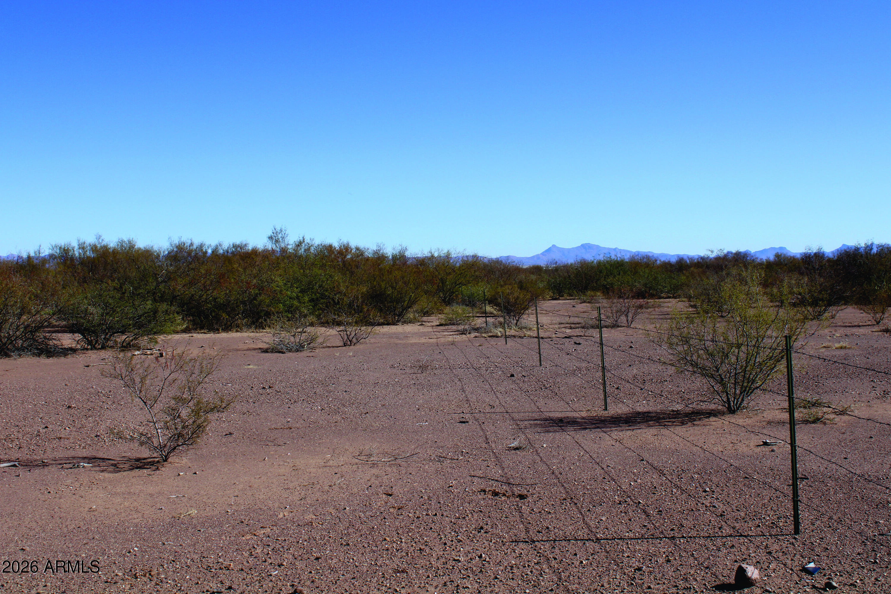4.49-acres West Duke Road, Unit 2 McNeal, AZ 85617 - Photo 25 of 26 a view of a dry yard with trees