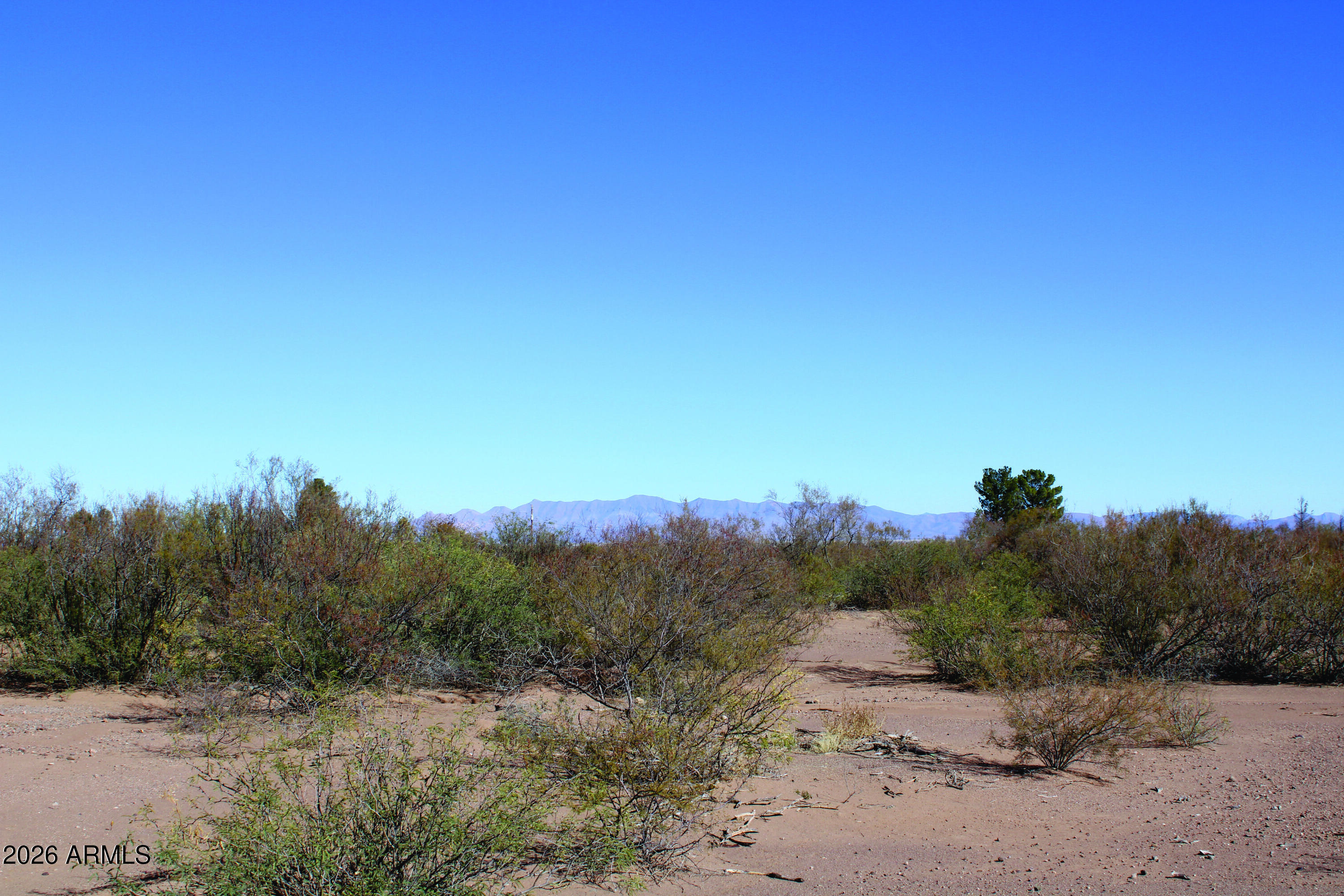 4.49-acres West Duke Road, Unit 2 McNeal, AZ 85617 - Photo 26 of 26 a view of a dry field
