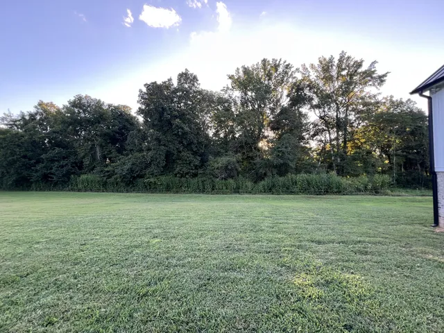 a view of outdoor space with green field and trees