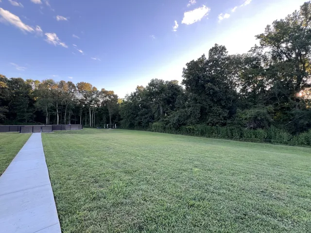 a view of a backyard with green space