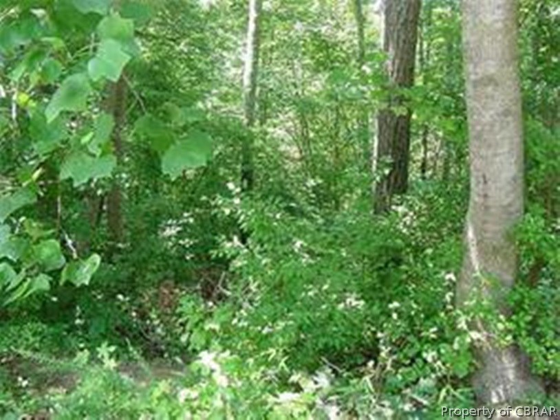 0 Stream And Marlfield Rd Drive Gloucester, VA 23061 - Photo 1 of 6 Gallery Image 1