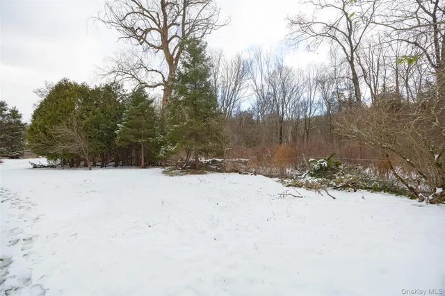 a view of a snow on the snow