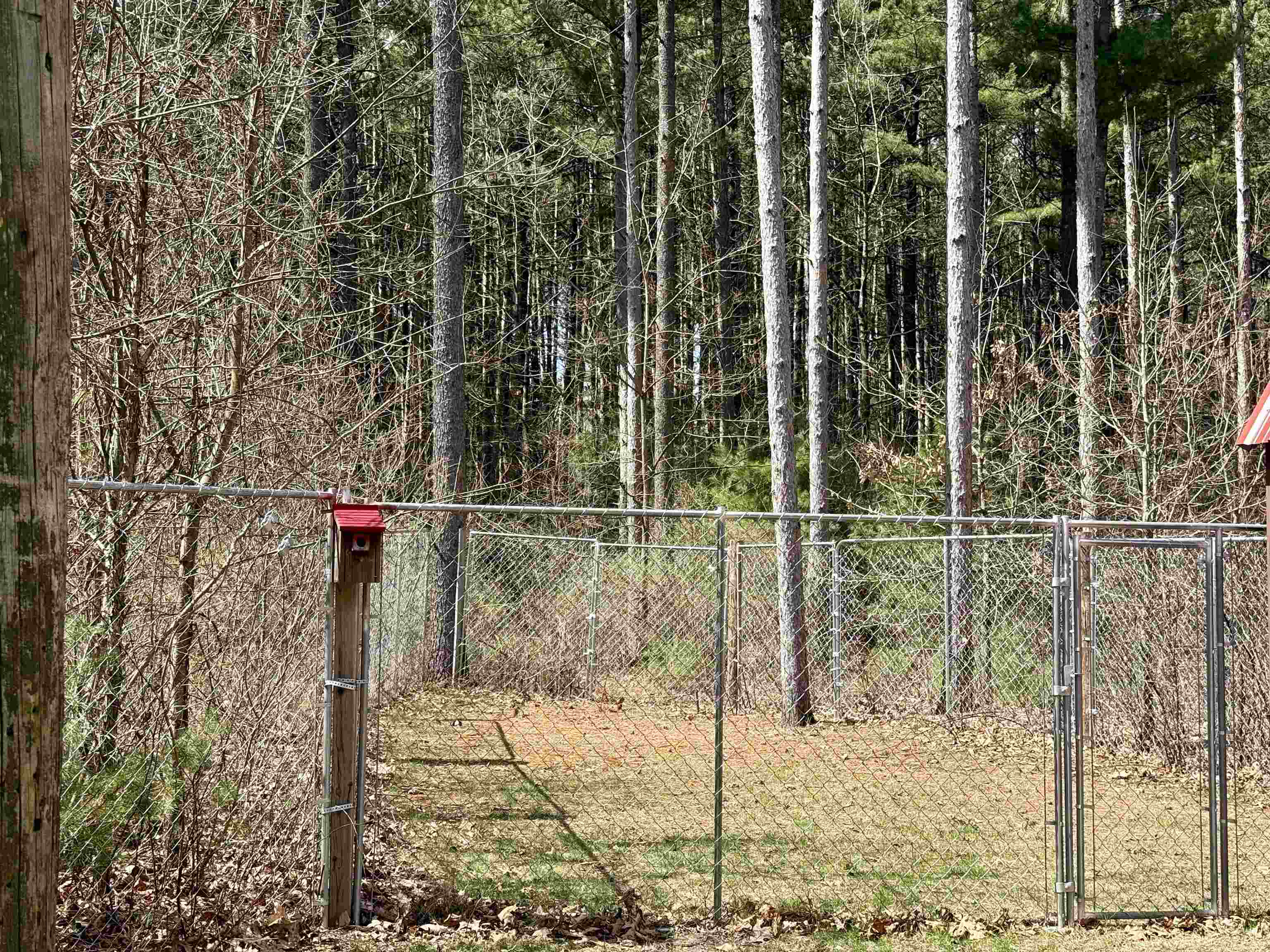 E2552 Porter Road Lone Rock, WI 53556 - Photo 21 of 26