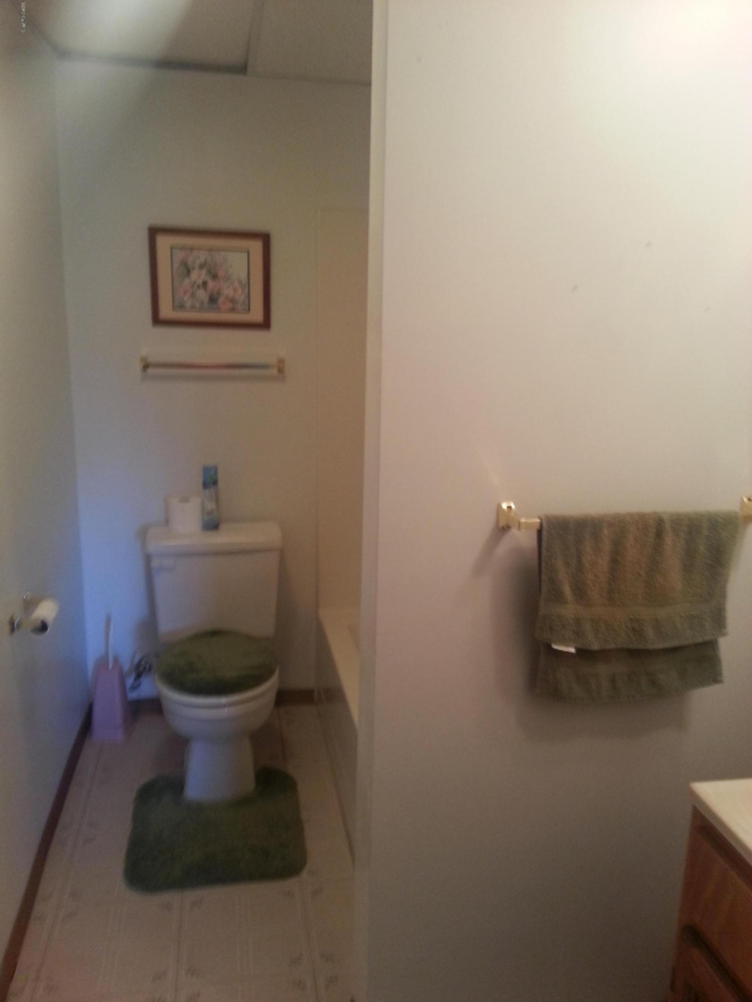 2533 Genesee Road Jonesville, MI 49250 - Photo 20 of 23 smitha8.jpg