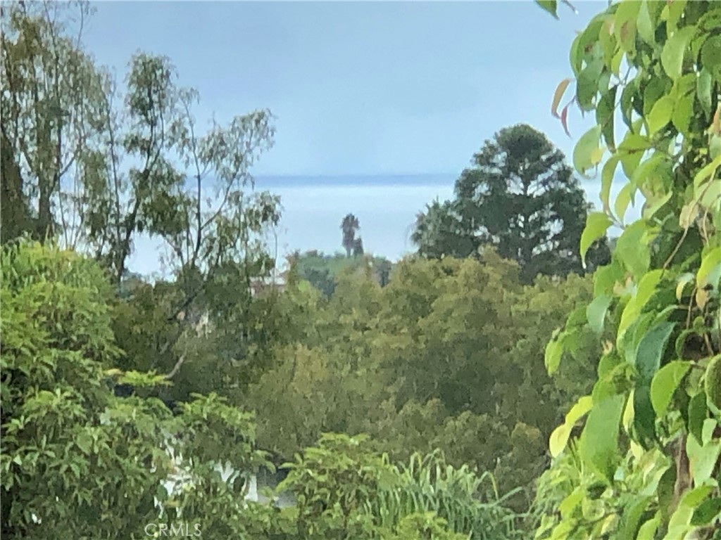 25102 Danabirch Dana Point, CA 92629 - Photo 23 of 53 a view of a lake with a park