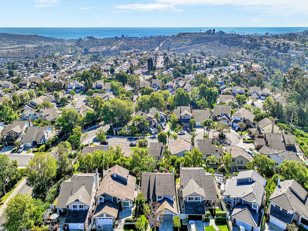 25102 Danabirch Dana Point, CA 92629 - Photo 34 of 53 an aerial view of multiple house
