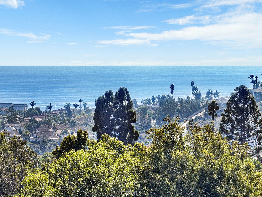 25102 Danabirch Dana Point, CA 92629 - Photo 39 of 53 a view of a large body of water with lots of trees in all around