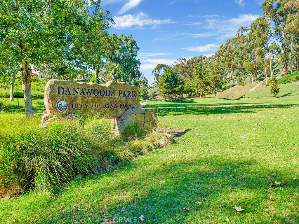 25102 Danabirch Dana Point, CA 92629 - Photo 40 of 53 a view of swimming pool and trees in the background