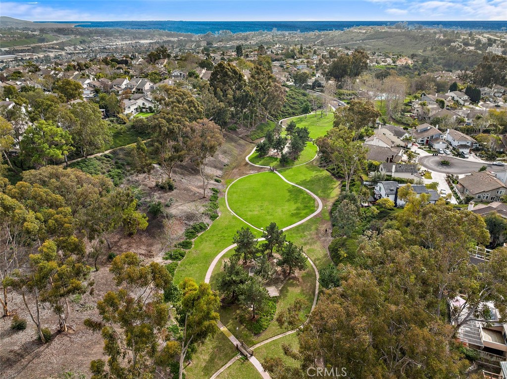 25102 Danabirch Dana Point, CA 92629 - Photo 42 of 53 a view of a city