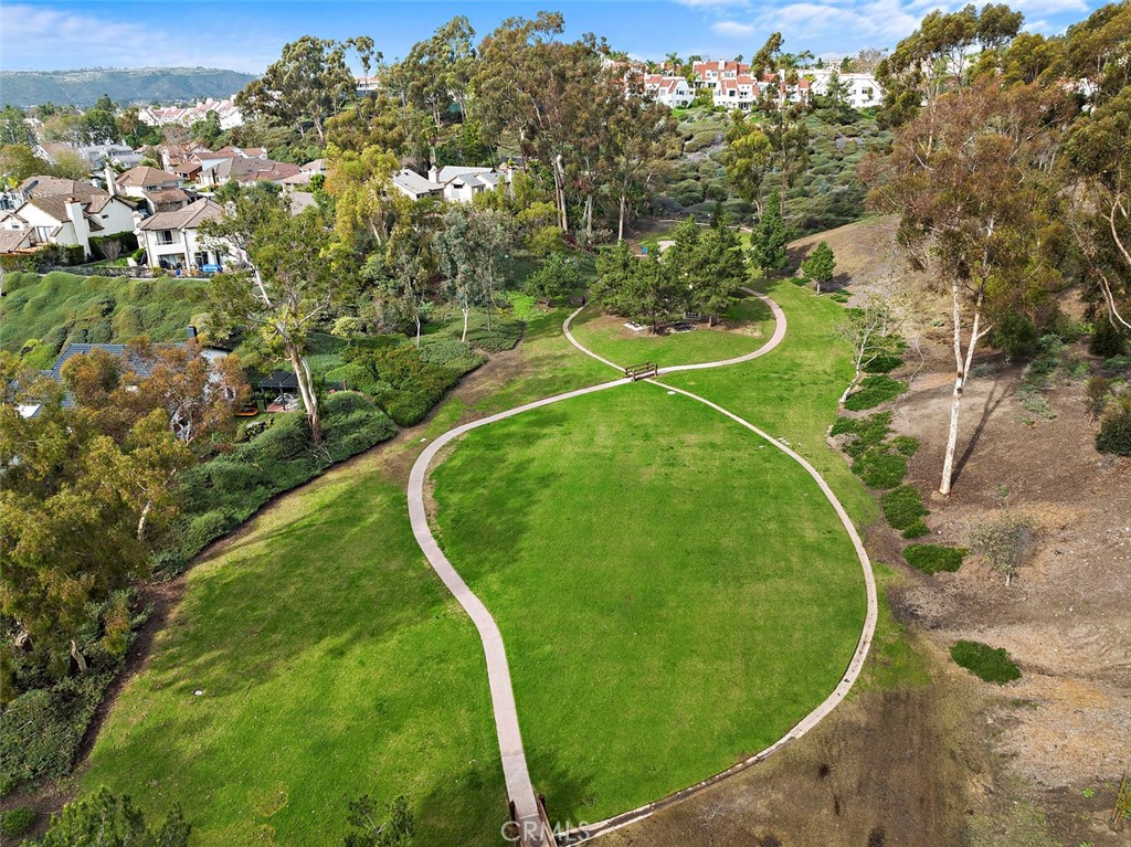 25102 Danabirch Dana Point, CA 92629 - Photo 43 of 53 an aerial view of a residential houses with outdoor space and trees