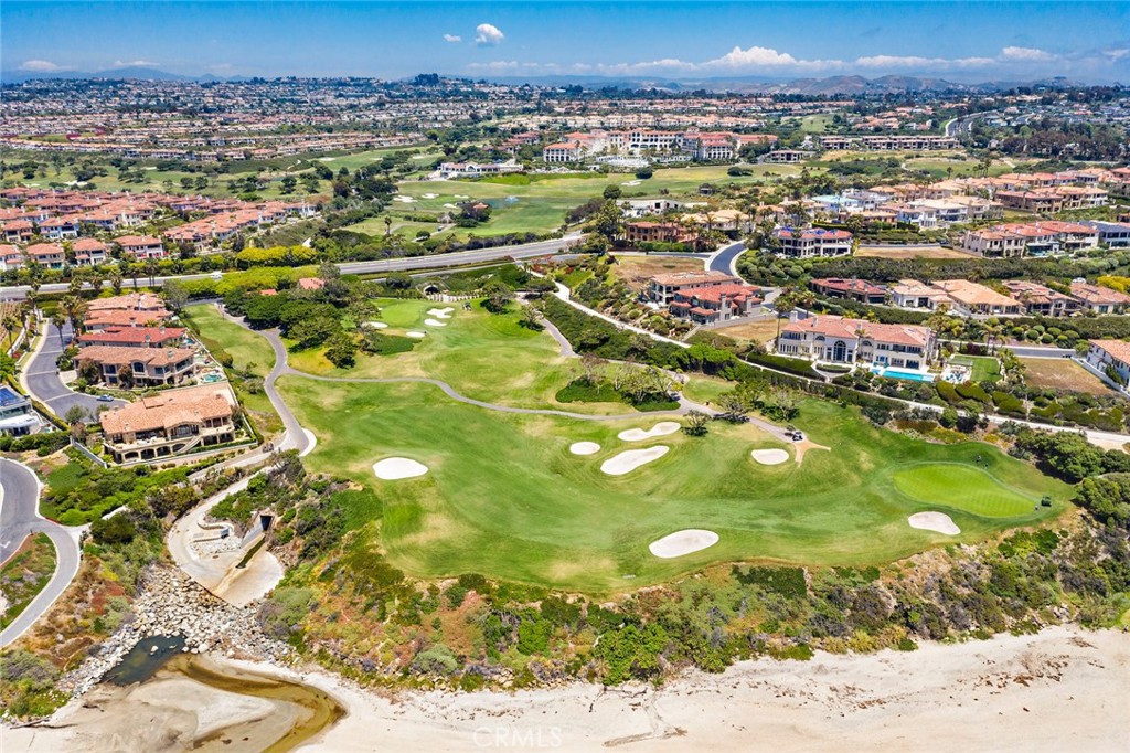 25102 Danabirch Dana Point, CA 92629 - Photo 52 of 53 a view of a city