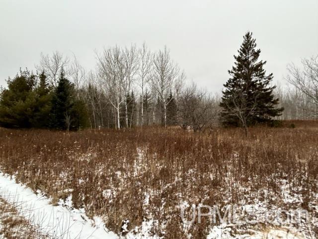 Tbd5 Larson Road Atlantic Mine, MI 49905 - Photo 25 of 56 Gallery Image 25