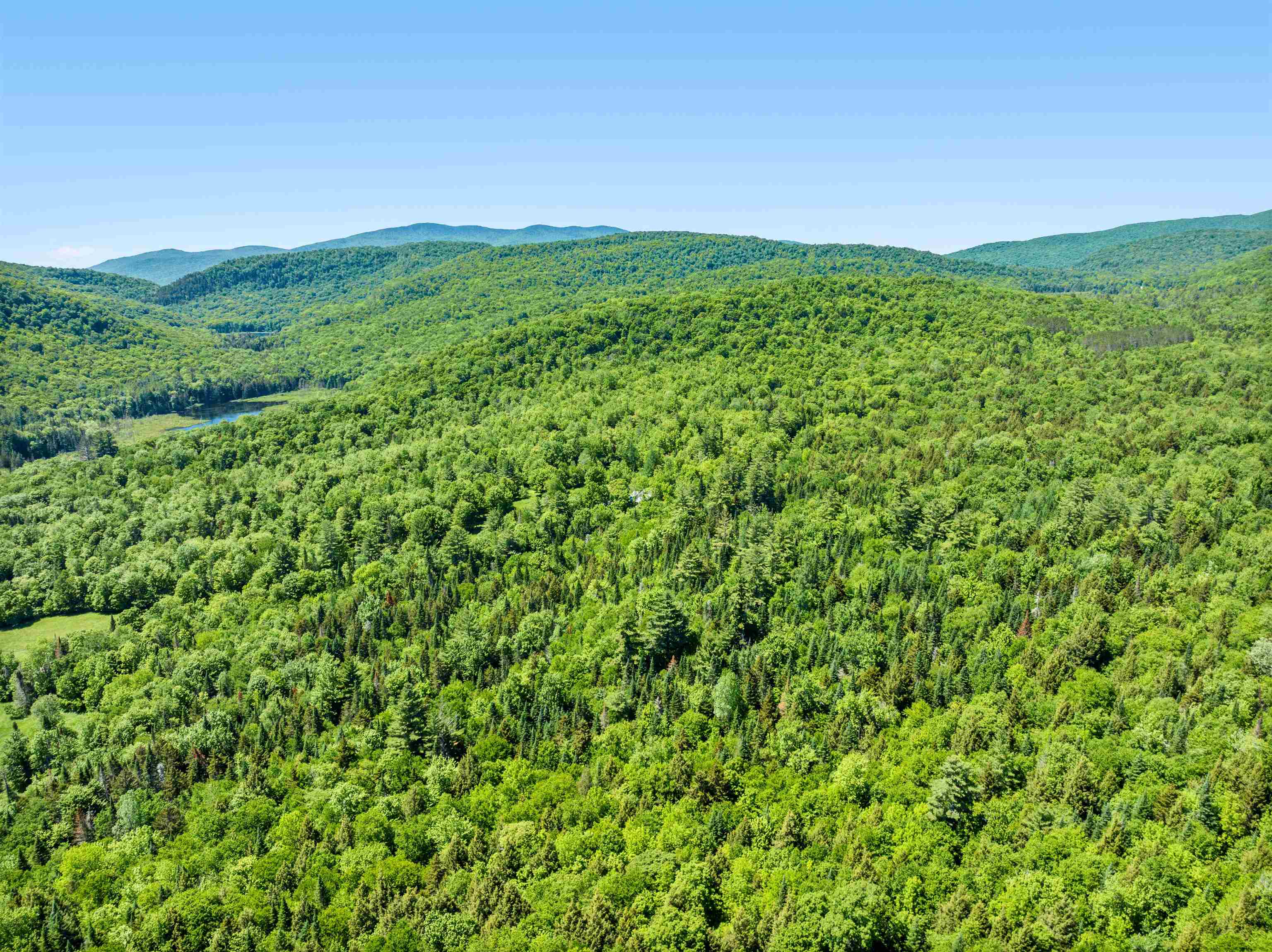 1670 Crooks Road Eden, VT 05652 - Photo 52 of 58
