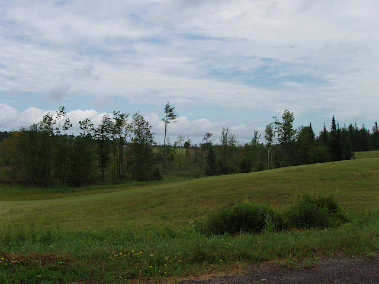 On Wagner Road Butternut, WI 54514 - Photo 8 of 9 Gallery Image 8